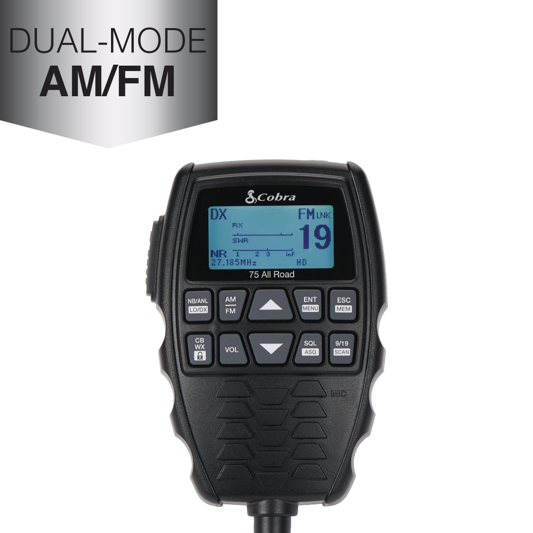 Ruby・Radio-Active Makita MR052 Cordless Radio, 12 V, Multi-Colour : Amazon.ca